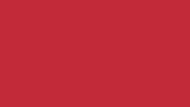 Image of Red Fox