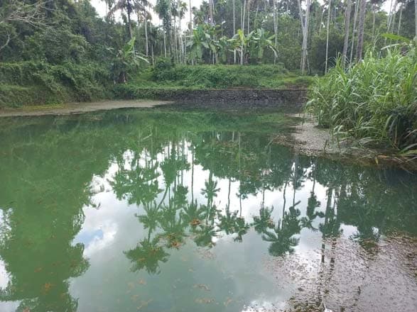 Lemon Tree Hotel, Chandausi