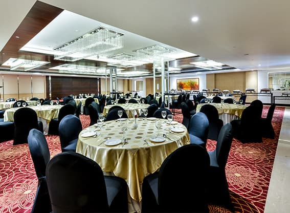 lemon tree jammu banquet